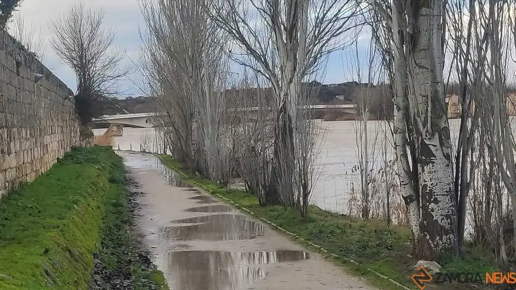 crece el r&iacute;o Duero Zamora _15