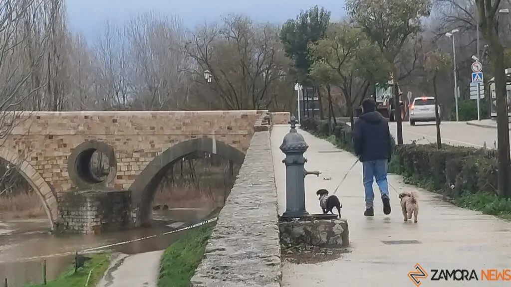 crece el r&iacute;o Duero Zamora _17