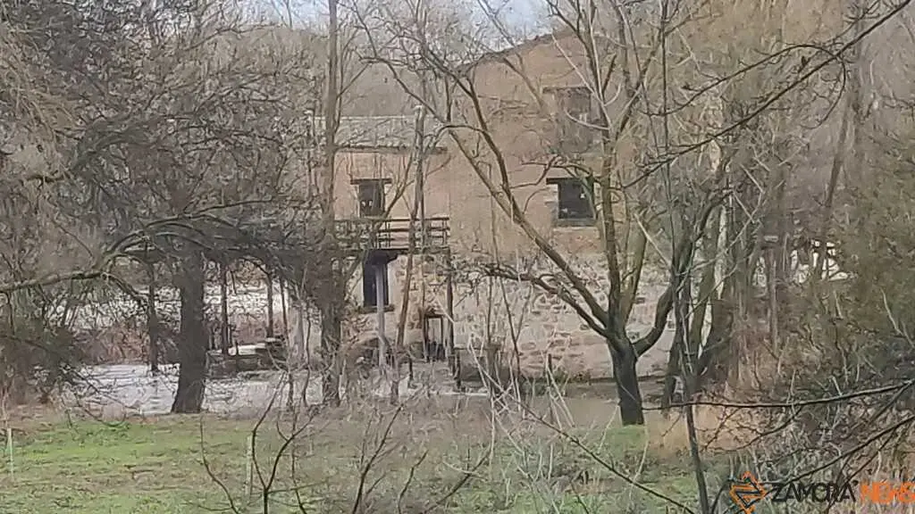 crece el r&iacute;o Duero Zamora _19