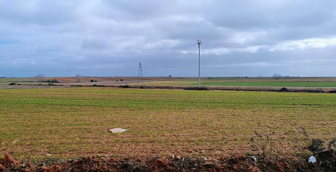 Tierra sembrada en un pueblo de Zamora