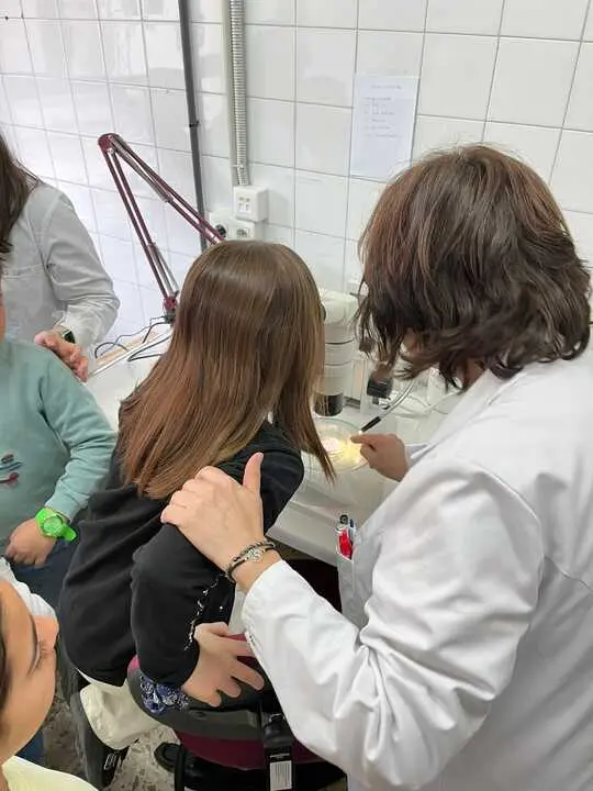 WhatsApp Image 2024-04-25 at 17.28.45