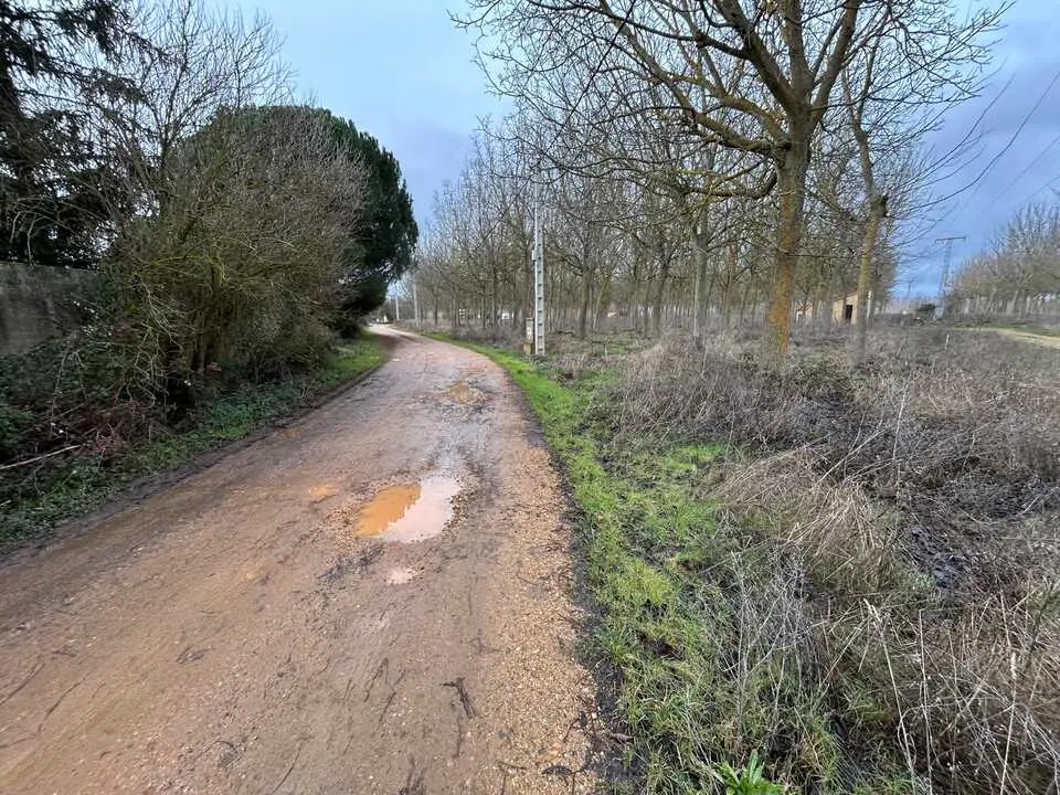 temporal en Benavente  (3)