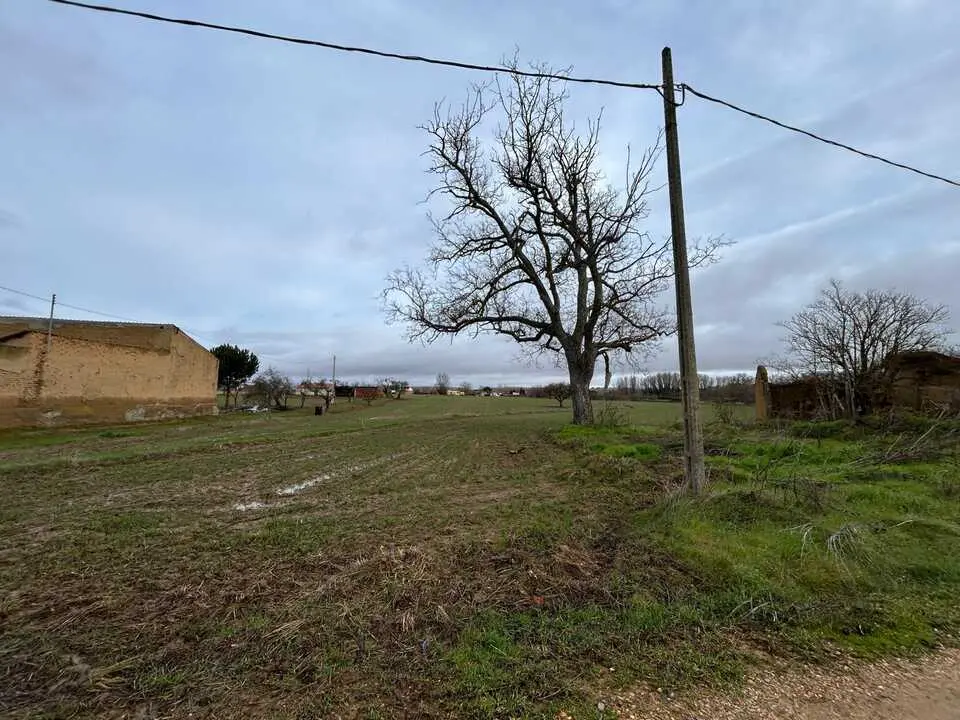 temporal en Benavente  (4)
