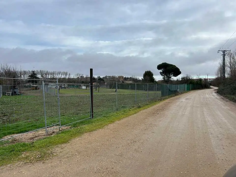 temporal en Benavente  (6)