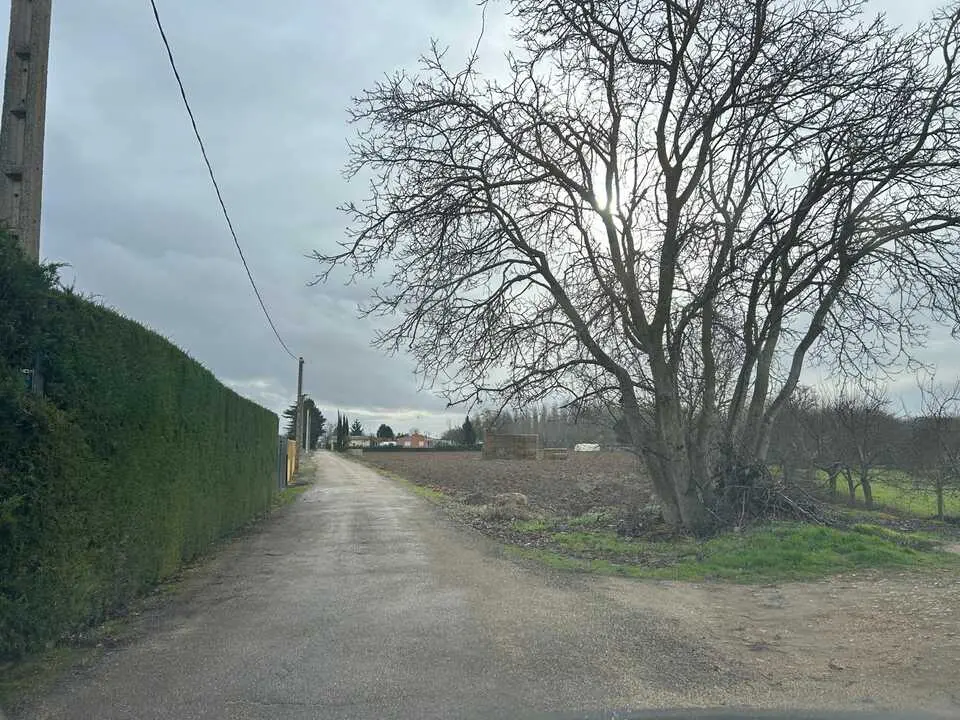 temporal en Benavente  (7)