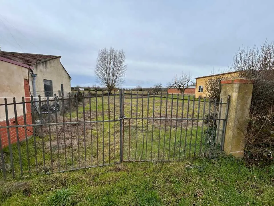 temporal en Benavente  (8)