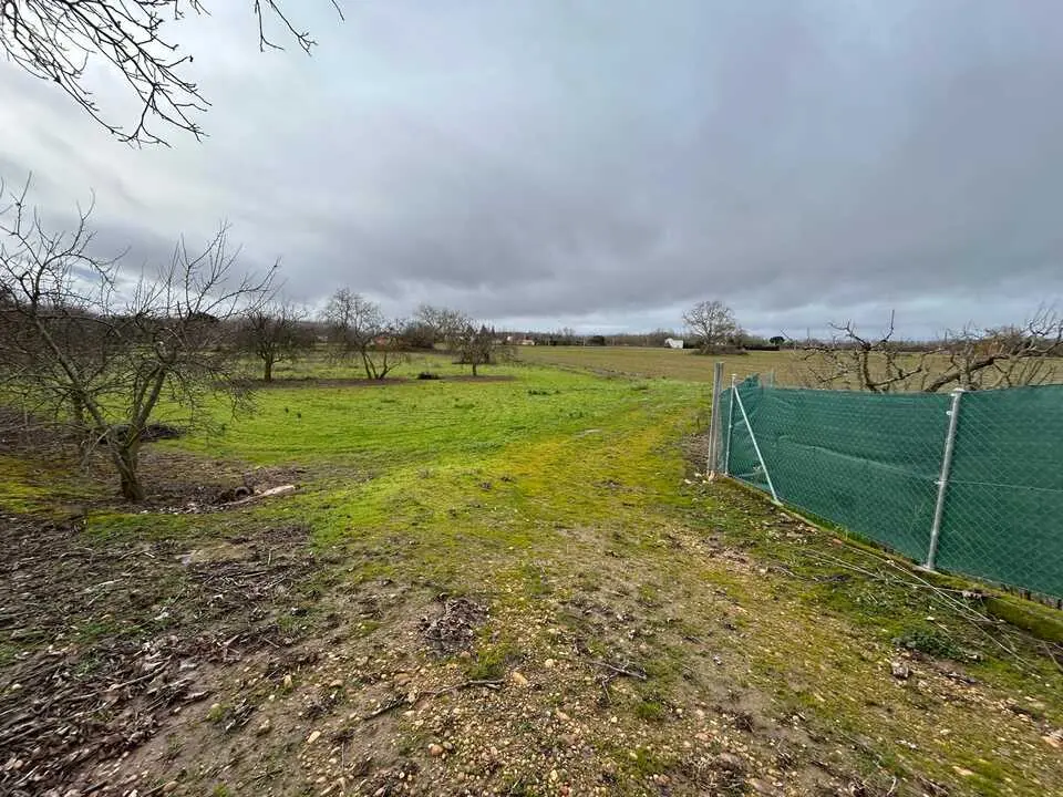 temporal en Benavente  (13)