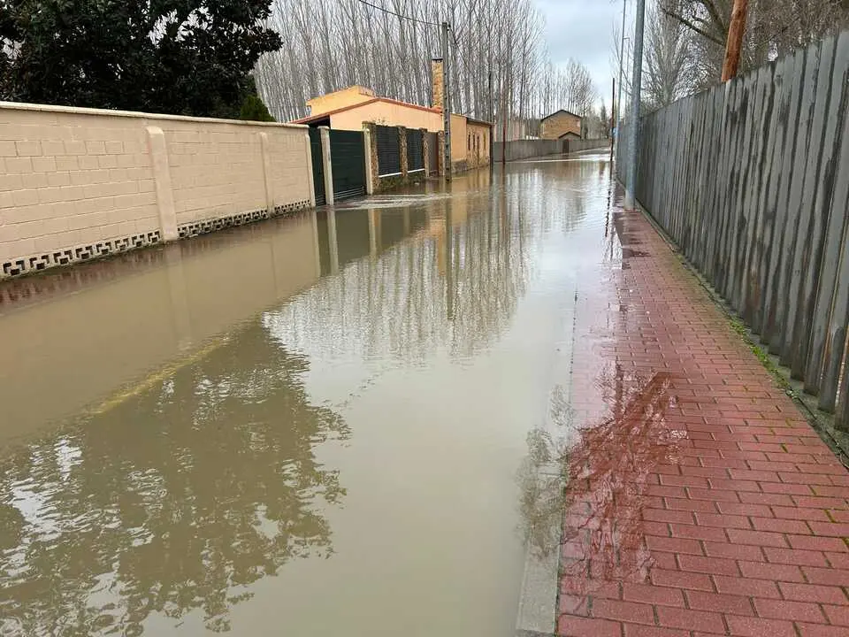 temporal en Benavente  (15)