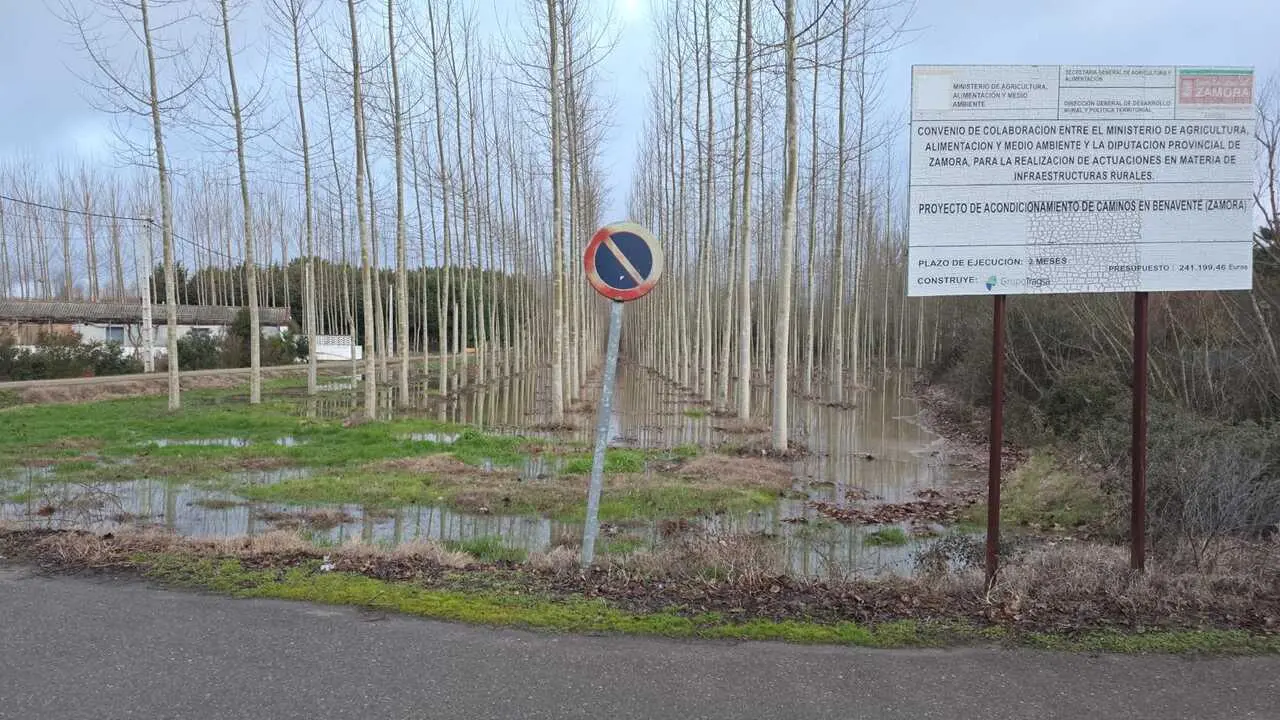 temporal en Benavente  (28)