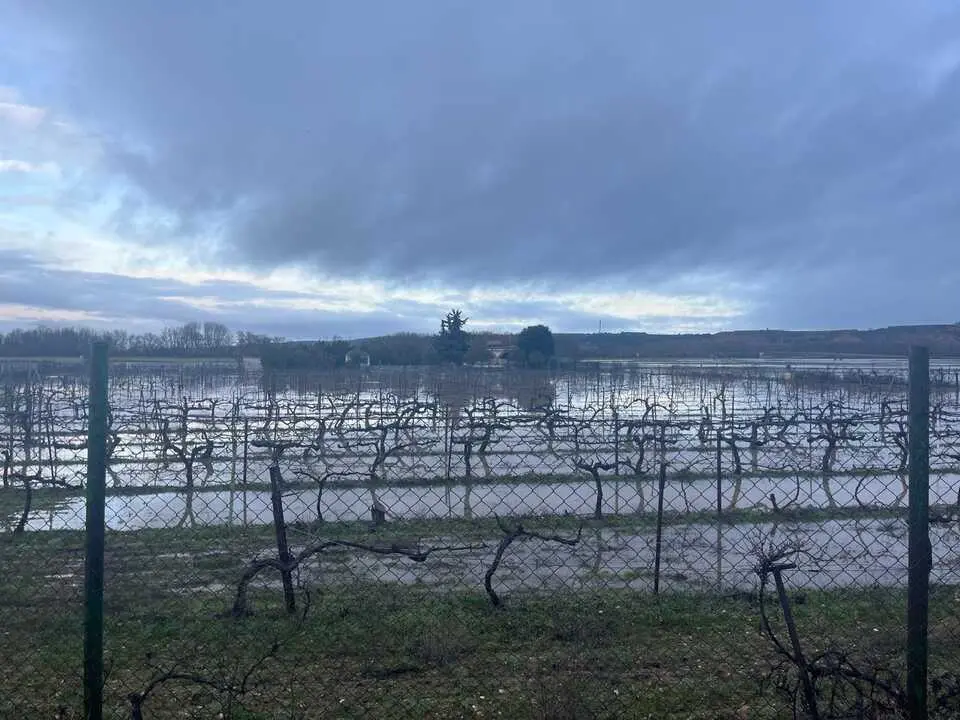 Toro inundaciones Duero 