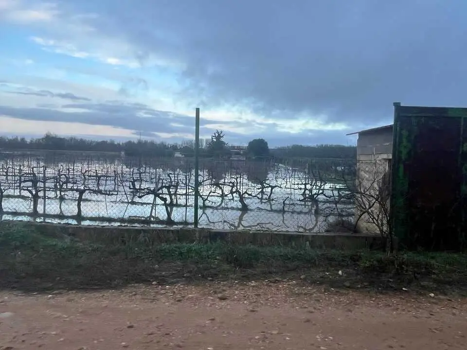 Toro inundaciones Duero _2