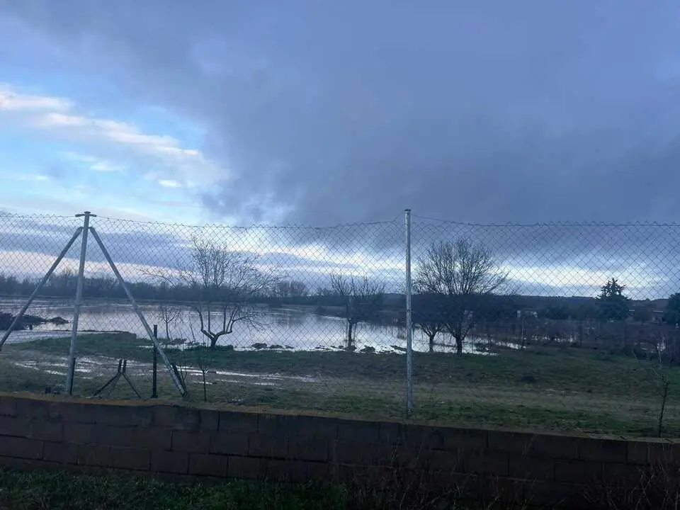 Toro inundaciones Duero _4