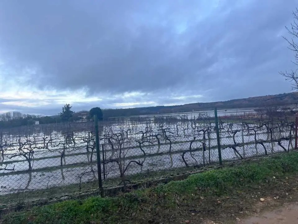 Toro inundaciones Duero _7