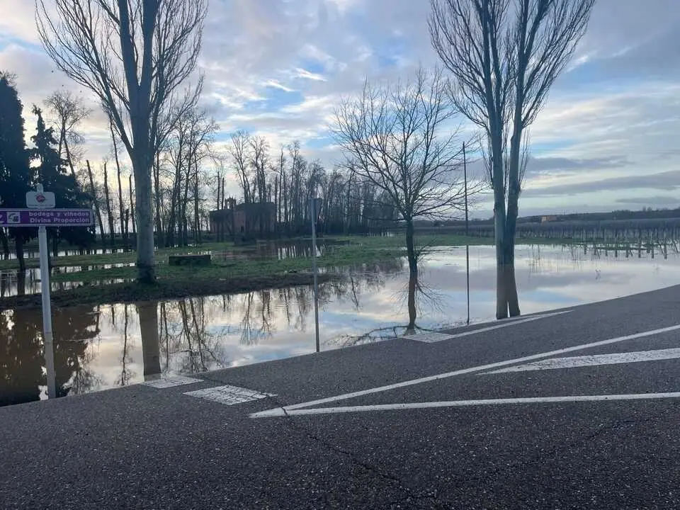Toro inundaciones Duero _9