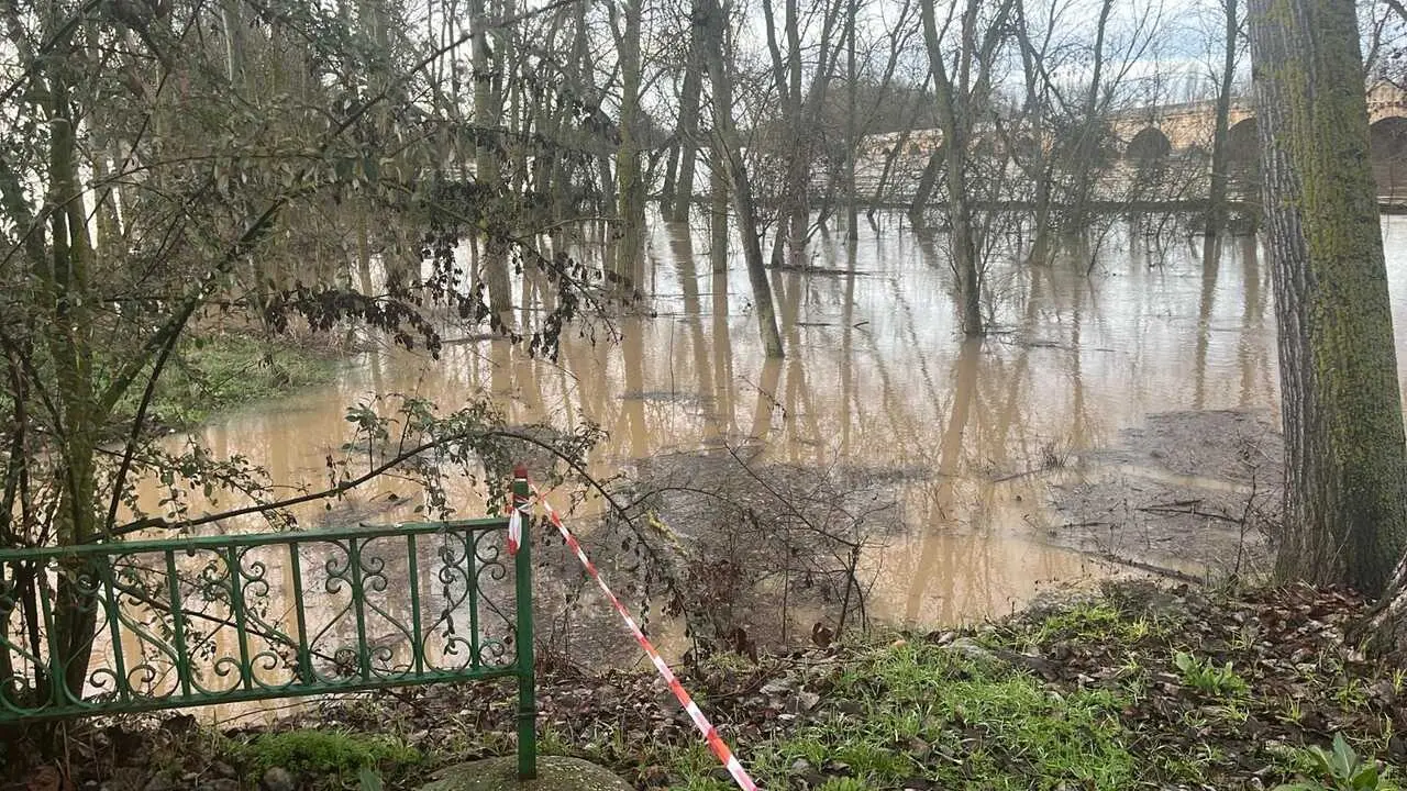 Toro inundaciones Duero _13