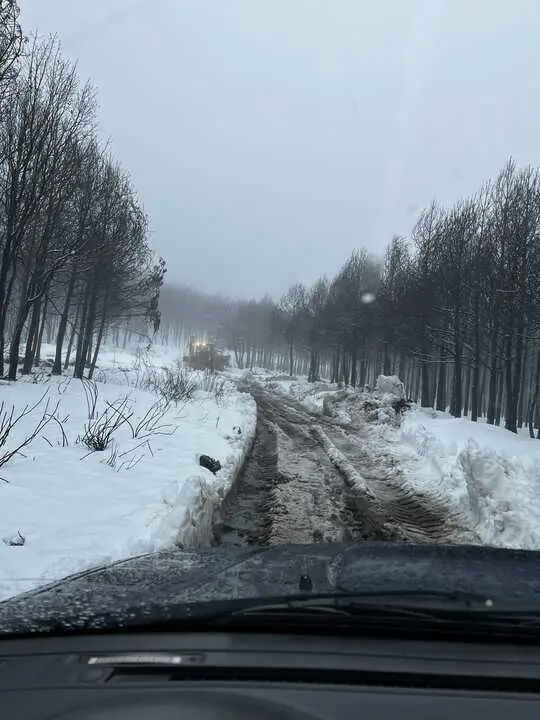 alta sanabria foto ahora decide