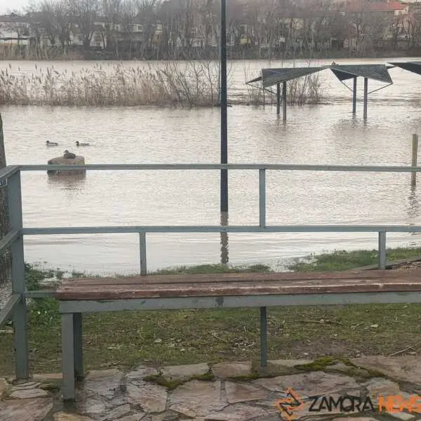El r&iacute;o Duero a su paso por Zamora 