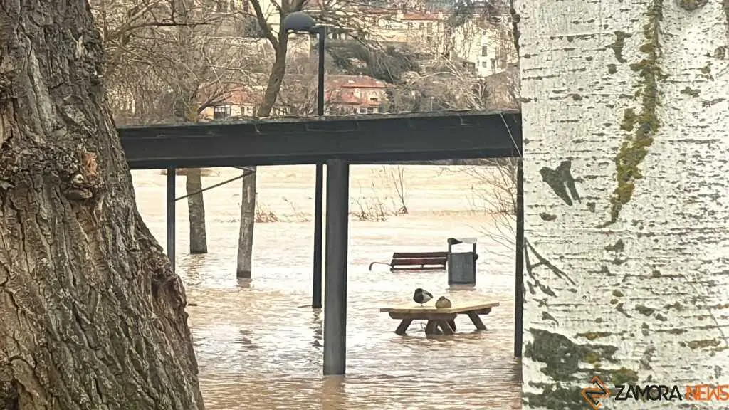 El r&iacute;o Duero a su paso por Zamora _7