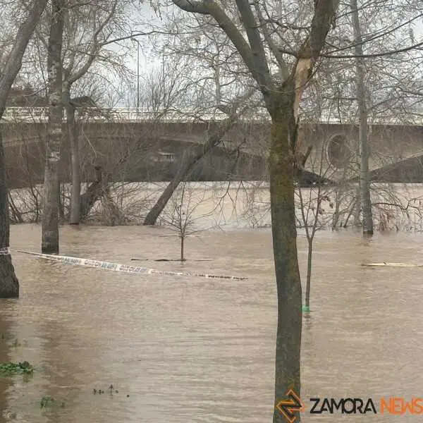 El r&iacute;o Duero a su paso por Zamora _8