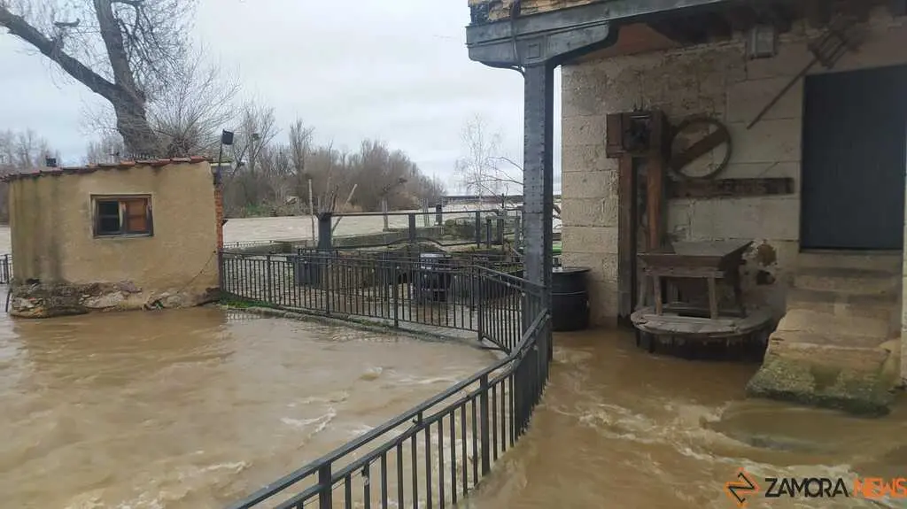 El r&iacute;o Duero a su paso por Zamora _10