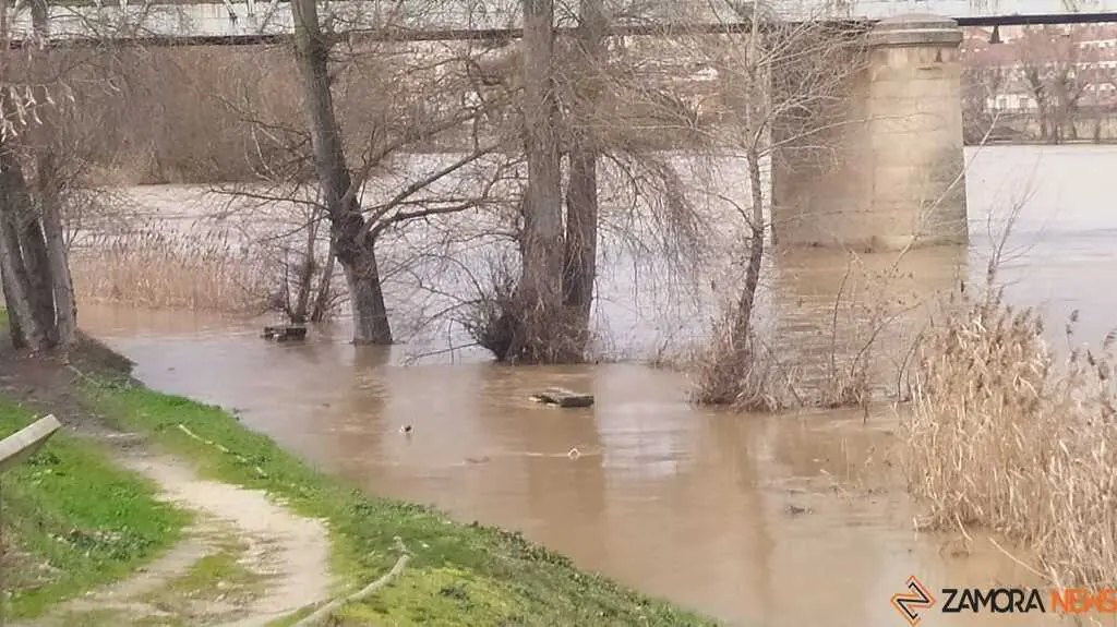 El r&iacute;o Duero a su paso por Zamora _19