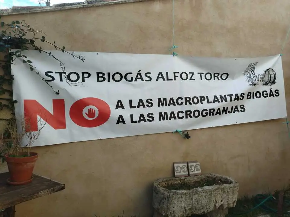Stop Biog&aacute;s alfoz de Toro