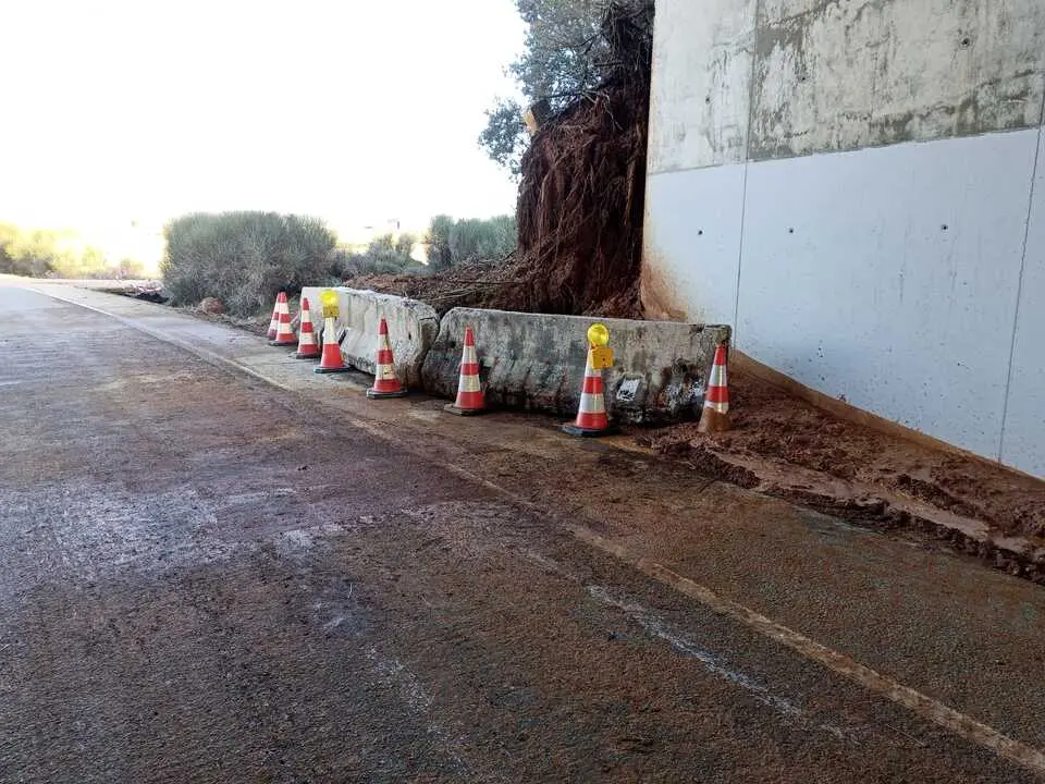 carretera entre Quiruelas de Vidriales y Quintanilla de Urz  (3)