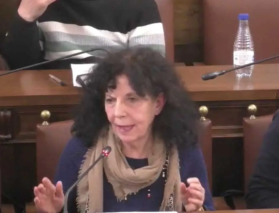 Laura rivera, pleno de la diputaci&oacute;n