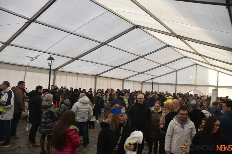 carnaval de Toro, chupetines _33