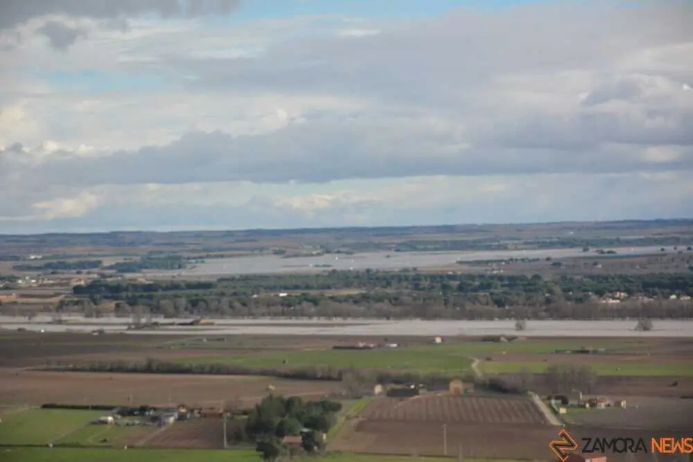 caranaval ni&ntilde;os toro