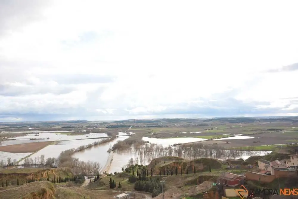 caranaval ni&ntilde;os toro_4