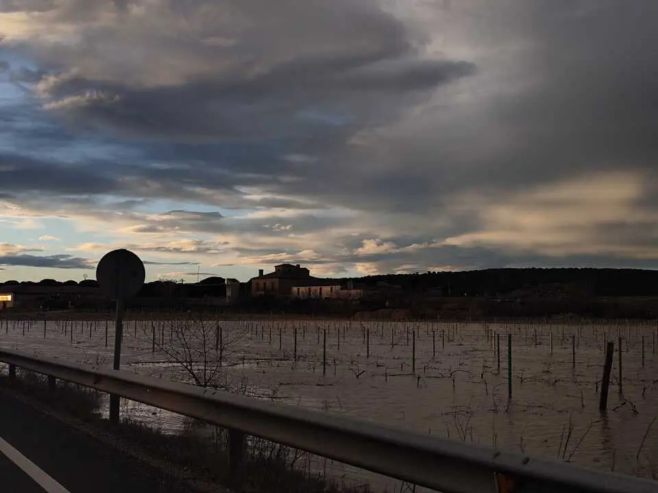 3e8a00ea-bdf5-47e4-8449-0c2a549d6822