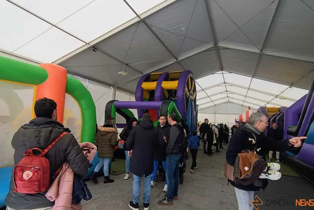 Hinchables Carnaval Zamora 