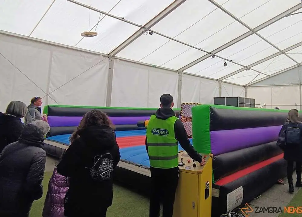 Hinchables Carnaval Zamora _2