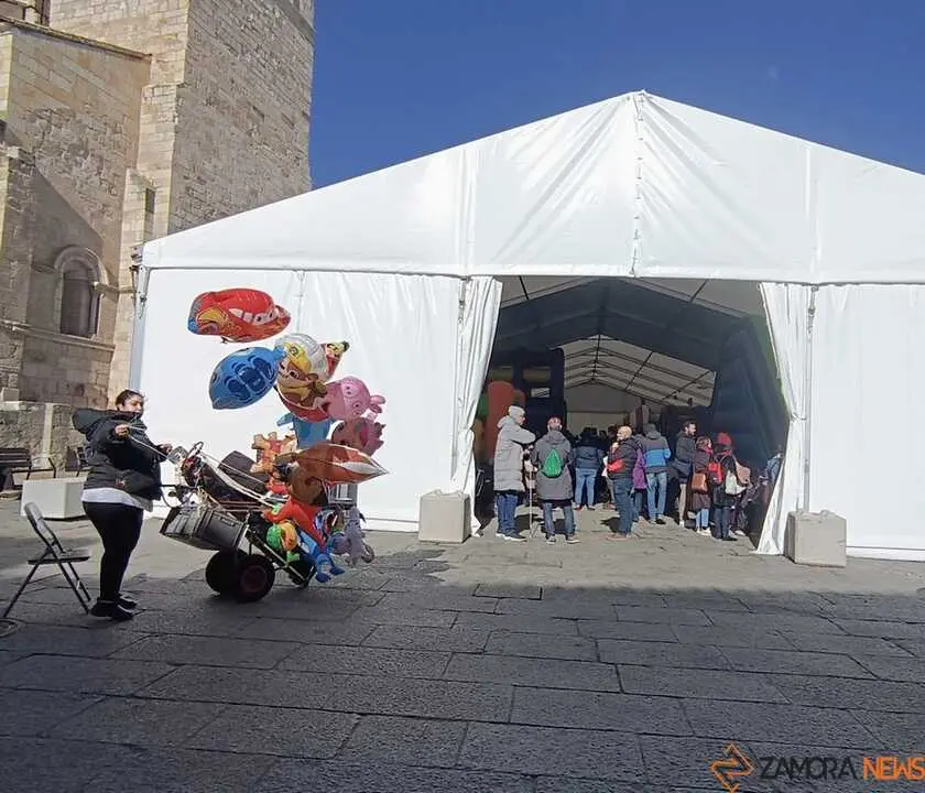 Hinchables Carnaval Zamora _5