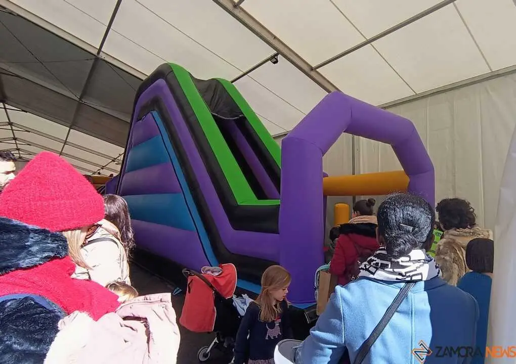 Hinchables Carnaval Zamora _6