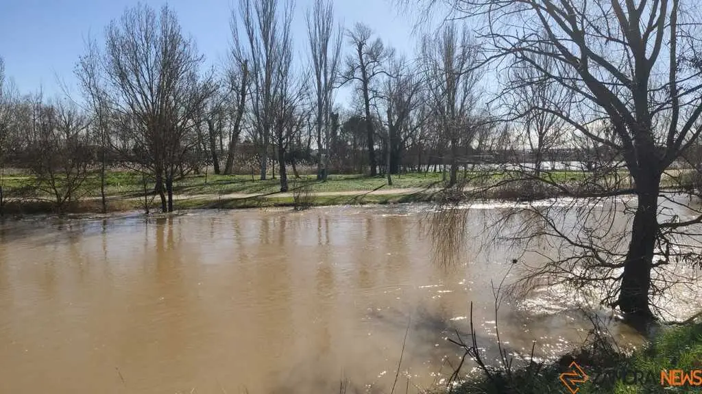 Un paseo por el Duero, crecida _7