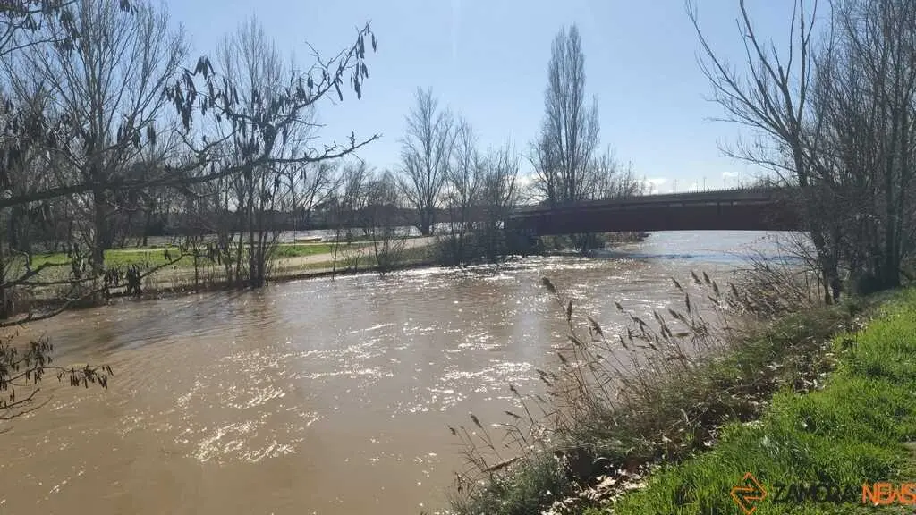 Un paseo por el Duero, crecida _8