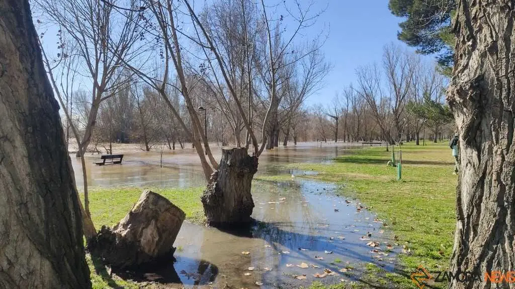 Un paseo por el Duero, crecida _16