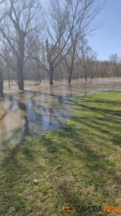 Un paseo por el Duero, crecida _17