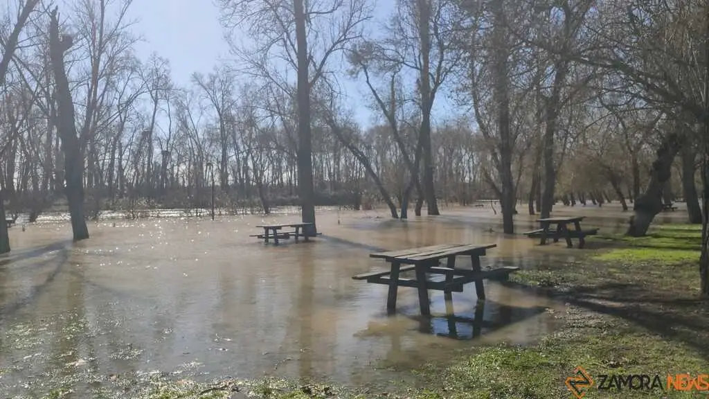 Un paseo por el Duero, crecida _19