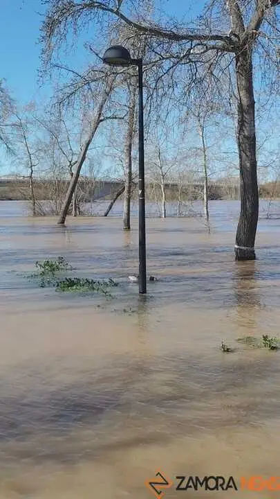 Un paseo por el Duero, crecida _22