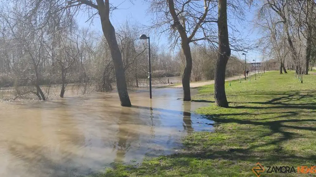 Un paseo por el Duero, crecida _28