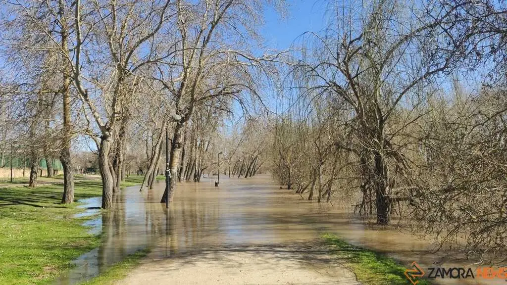 Un paseo por el Duero, crecida _30