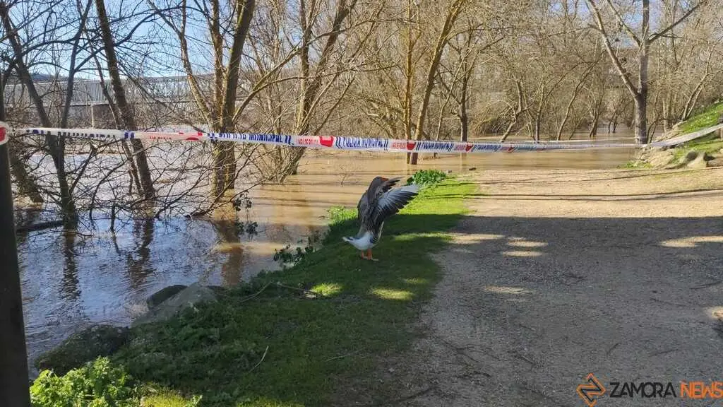 Un paseo por el Duero, crecida _39