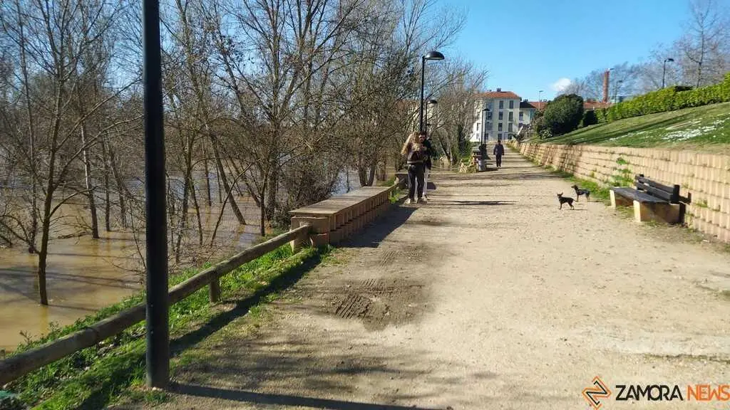 Un paseo por el Duero, crecida _44