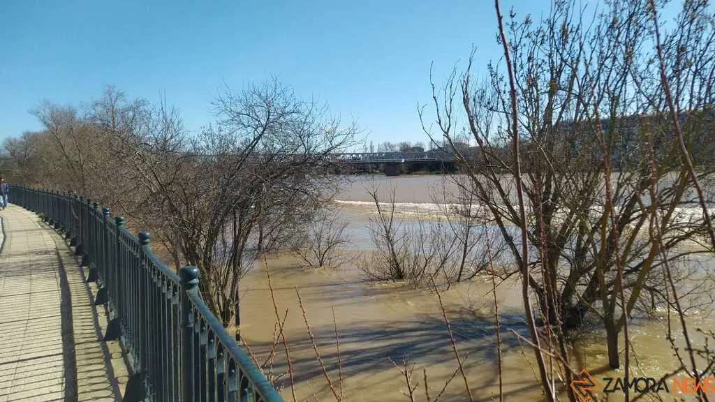 Un paseo por el Duero, crecida _49