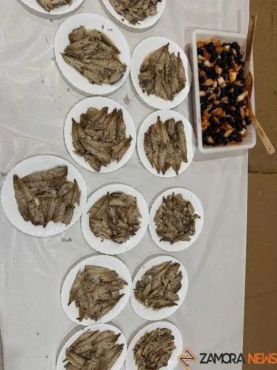 Ca&ntilde;o reguero Santib&aacute;&ntilde;ez de Tera_8