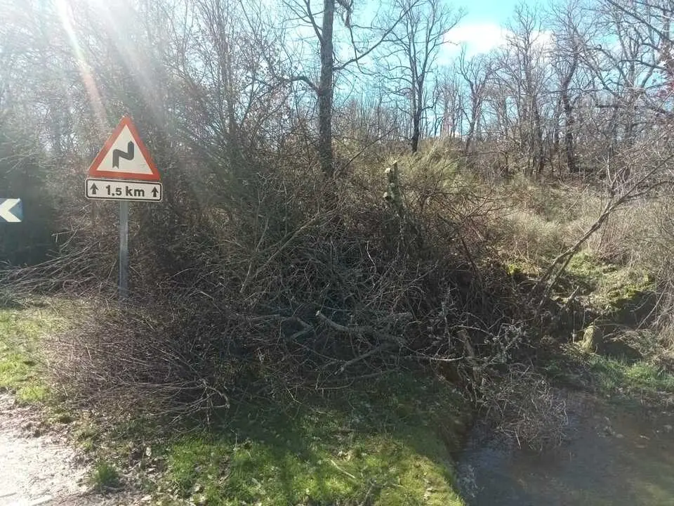 Da&ntilde;os de la borrasca en Zamora_2