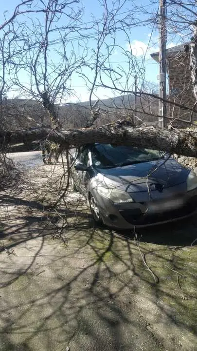 Da&ntilde;os de la borrasca en Zamora_8